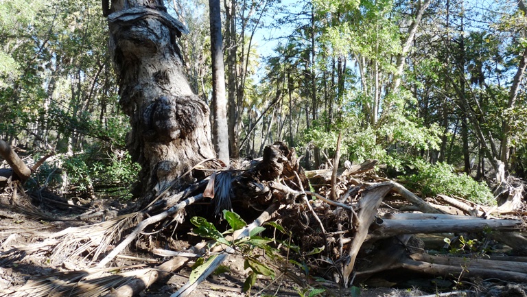 Im Lawn Hill Nationalpark